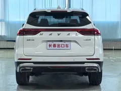 2023 Haval H6 1.5T AT Guochao Champion, белый — фото 5
