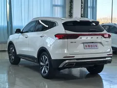 2023 Haval H6 1.5T AT Guochao Champion, белый — фото 6