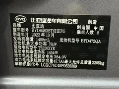 2023 BYD Song PLUS DM-i PHEV 110km Flagship Champion — фото 34