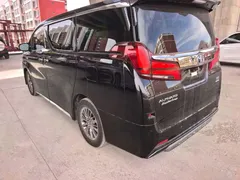 2023 Toyota Alphard 2.5L Hybrid Premium Gold, чёрный — фото 4