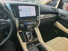 2023 Toyota Alphard 2.5L Hybrid Premium Gold, чёрный — фото 10