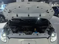 2024 Leapmotor T03 EV 310 Comfort, белый — фото 20