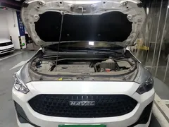 2019 Haval M6 1.5T DCT 2WD Elite, белый — фото 20