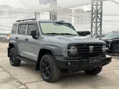 2021 Tank 300 Off-road 2.0T Conqueror, чёрный — фото 3
