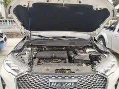 2021 Haval H6 3rd Gen 1.5T AT 2WD Max, белый — фото 20