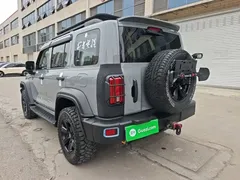 2021 Tank 300 Off-road 2.0T Conqueror — фото 5
