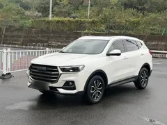2023 Haval H6 1.5T AT Guochao Urban, белый — фото 2