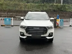 2023 Haval H6 1.5T AT Guochao Urban, белый — фото 12
