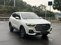 2023 Haval H6 1.5T AT Guochao Urban, белый — фото 14