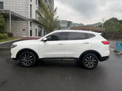 2023 Haval H6 1.5T AT Guochao Urban, белый — фото 16