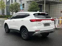 2023 Haval H6 1.5T AT Guochao Urban, белый — фото 17