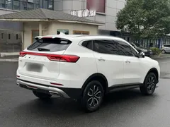 2023 Haval H6 1.5T AT Guochao Urban, белый — фото 19