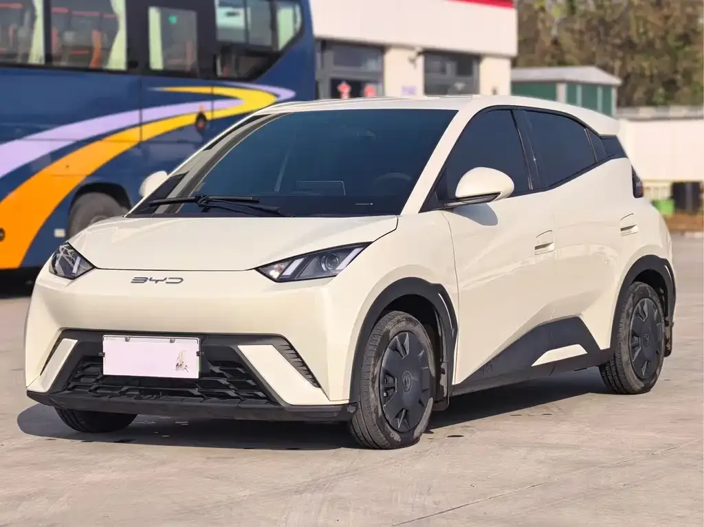 2024 BYD Seagull Honor 305km Vitality