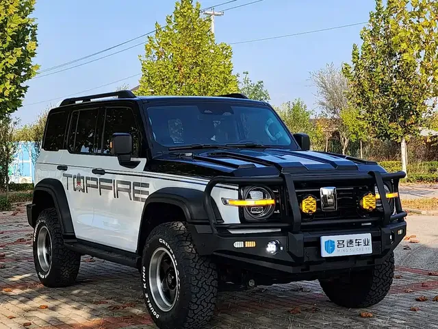 2021 Tank 300 Off-road 2.0T Conqueror