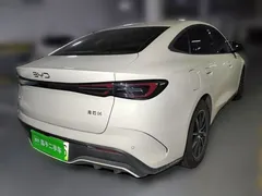 2024 BYD Seal 06 DM-i PHEV 120km Premium, белый — фото 6