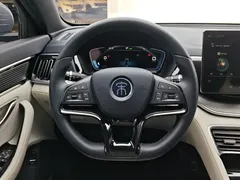 2021 BYD Song PLUS DM-i PHEV 110KM Flagship Plus — фото 14