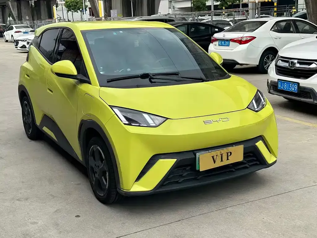 2024 BYD Seagull EV 305km Honor Freedom
