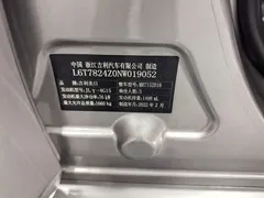 2021 Geely Emgrand UP 1.5L CVT Luxury — фото 19