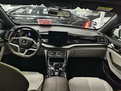 2023 BYD Qin PLUS Champion EV 420km, белый — фото 6