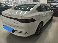 2023 BYD Qin PLUS Champion EV 420km, белый — фото 7