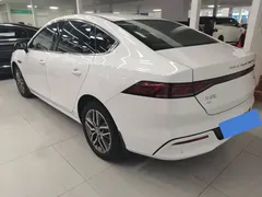 2023 BYD Qin PLUS Champion EV 420km, белый — фото 9