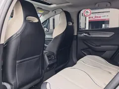2024 BYD Destroyer 05 Honor DM-i PHEV 120km Premium — фото 11