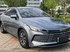 2023 BYD Destroyer 05 Champion DM-i PHEV 55km Luxury — фото 3