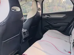 2023 BYD Destroyer 05 Champion DM-i PHEV 55km Luxury — фото 18