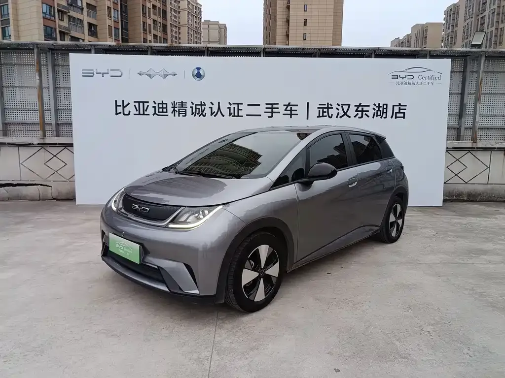 2023 BYD Dolphin 420km Freedom