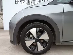 2023 BYD Dolphin 420km Freedom — фото 5