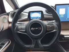 2023 BYD Dolphin 420km Freedom — фото 12