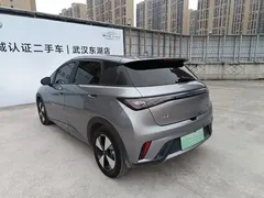 2023 BYD Dolphin 420km Freedom — фото 18