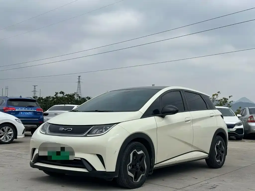 2021 BYD Dolphin 405km Fashion