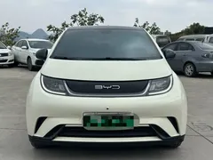 2021 BYD Dolphin 405km Fashion — фото 2