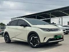 2021 BYD Dolphin 405km Fashion — фото 3