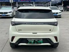 2021 BYD Dolphin 405km Fashion — фото 4