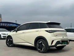 2021 BYD Dolphin 405km Fashion — фото 5