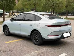 2025 BYD Qin PLUS DM-i PHEV Smart Driving 55km Leading — фото 15
