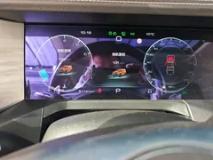 2021 Tank 300 Off-road 2.0T Conqueror — фото 12