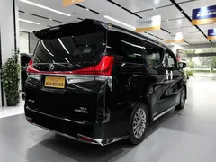 2020 Lexus LM 300h 4, чёрный — фото 5