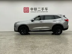 2021 Haval H6 3rd Gen 2.0T AT 2WD Max — фото 3