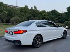 2021 BMW 5 Series 530Li Premium Luxury Package, белый — фото 5
