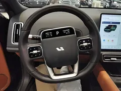 2025 Li Auto L9 Smart Refresh, зелёный — фото 11