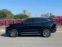 2021 Haval H6 3rd Gen 1.5T AT 2WD Pro, чёрный — фото 19