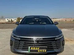 2024 BYD Destroyer 05 DM-i PHEV 55km Luxury — фото 2