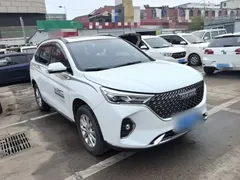 2021 Haval M6 Plus 1.5T DCT Luxury, белый — фото 4