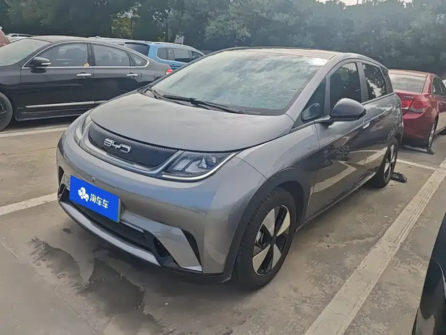 2023 BYD Dolphin 420km Fashion