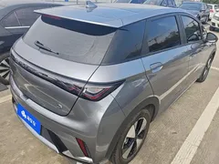 2023 BYD Dolphin 420km Fashion — фото 3