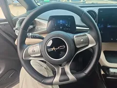 2023 BYD Dolphin 420km Fashion — фото 15