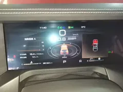 2021 Tank 300 Off-road 2.0T Challenger — фото 12